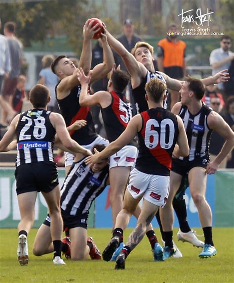 vfl collingwood vs essendon